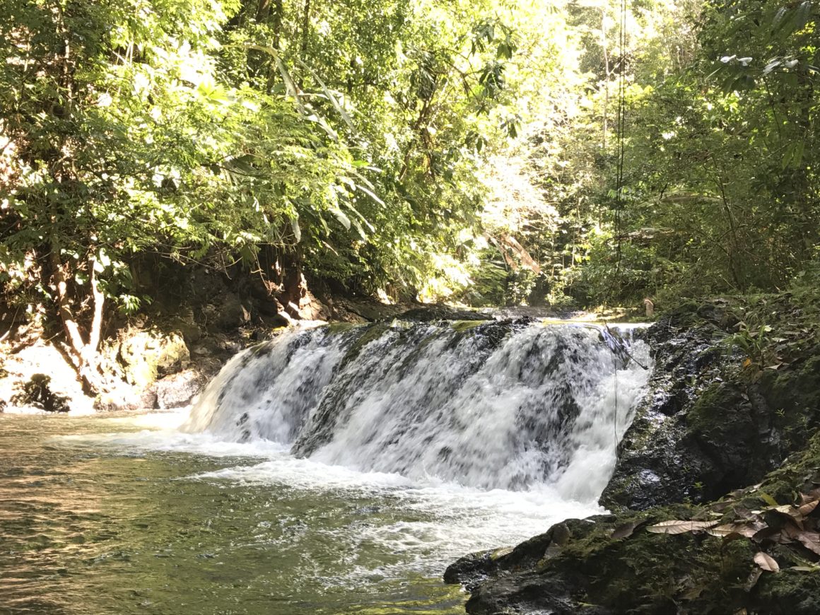 San Pedrillo Station-Corcovado National Park $100