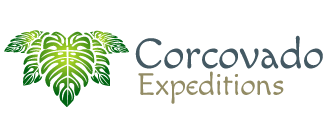 Corcovado Expeditions